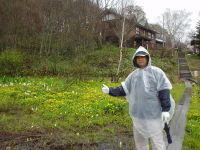 K���Ɠ��d����